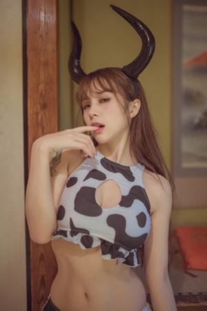 我的xl司第二季